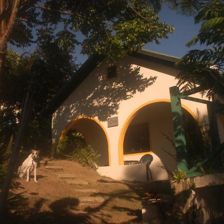 Mavis Bank Lime Tree Farm, Blue Mountainsヴィラ エクステリア 写真