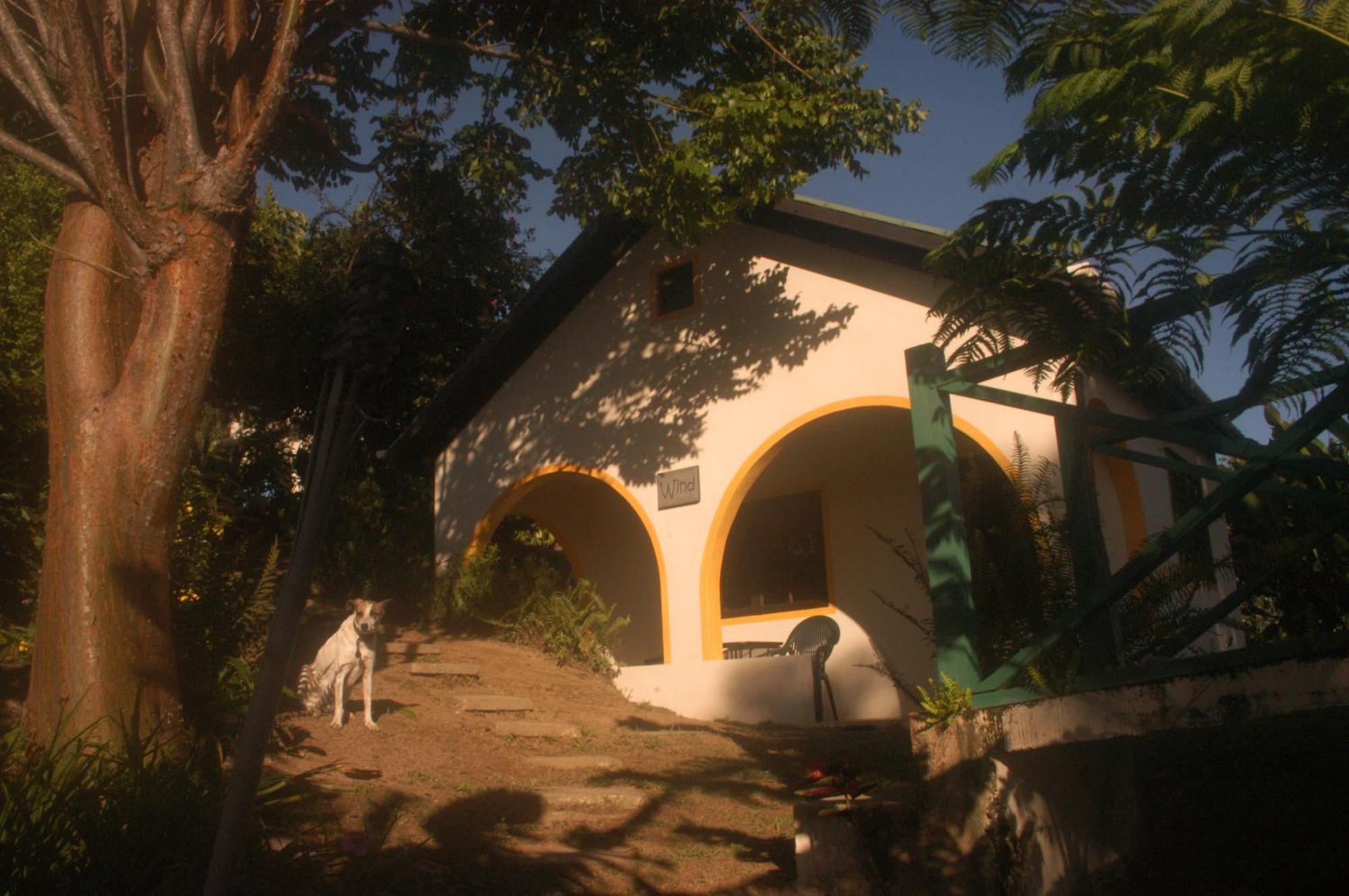 Mavis Bank Lime Tree Farm, Blue Mountainsヴィラ エクステリア 写真